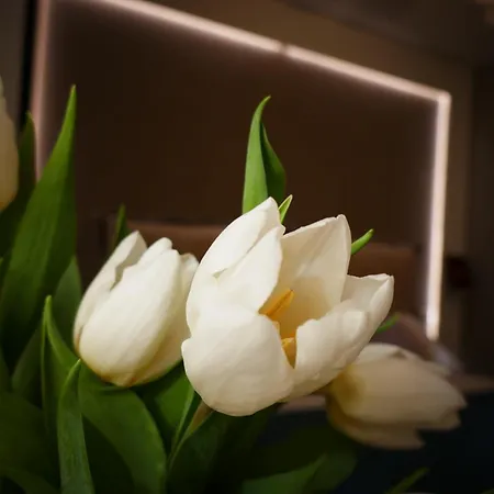 Merulana Romance - Luxury Boutique & Ferienhaus *
